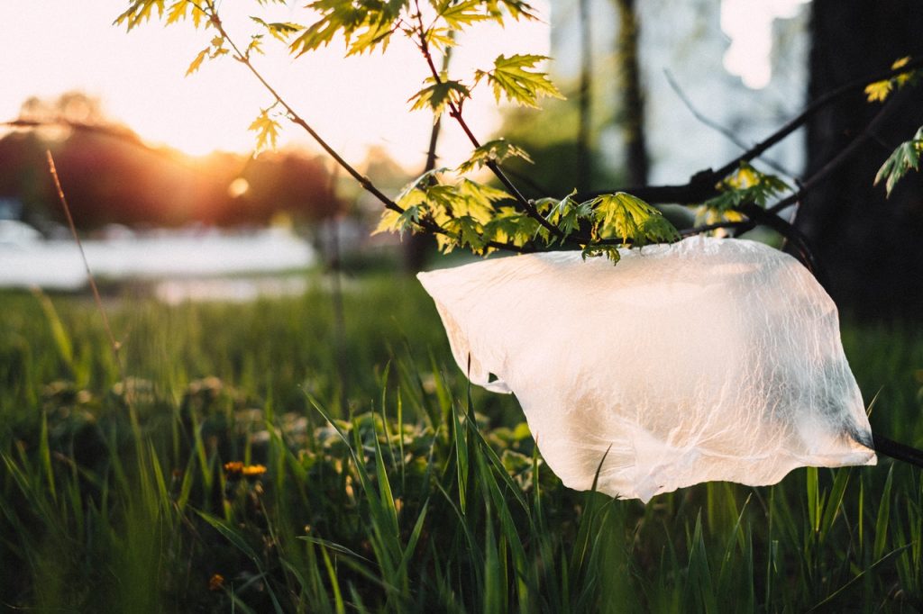 plastic bag on grass