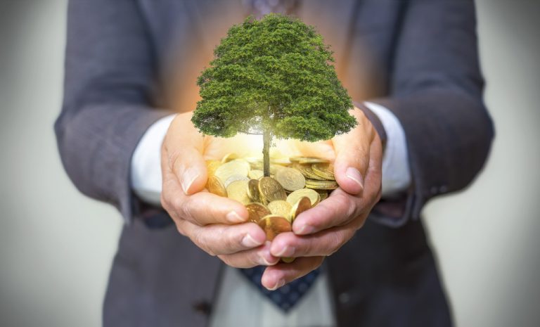 man in corporate attire holding a miniature tree