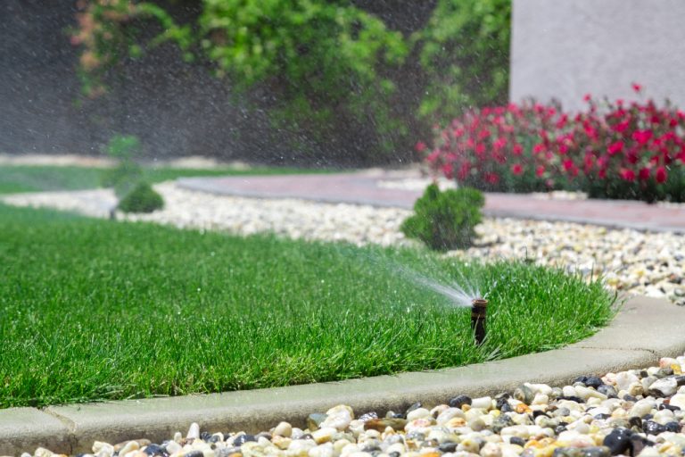 backyard with sprinkler