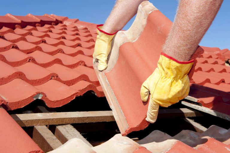 Professional roofer handling maintenance tasks